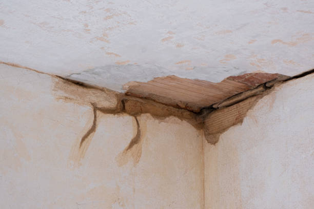 Reliable Elkader, IA Water damage restoration Solutions